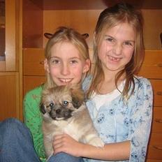 Tibetansk spaniel Follow Cespas Polly Pop