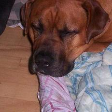 Blanding af racer Tyson