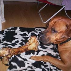 Blanding af racer Tyson