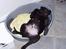 Labrador retriever Madumbjergs Magic Mas.... - En lille fjollet Bossie som hvalp