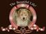 Parson russell terrier Chili R.I.P-  <3 - Hun er da skøn. ?