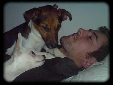 Blanding af racer whisky - Mig og min nye dejlig lillebror putter billede 7