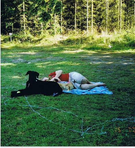 Riesenschnauzer Nikita - Mig Lassie og Brianne billede 8