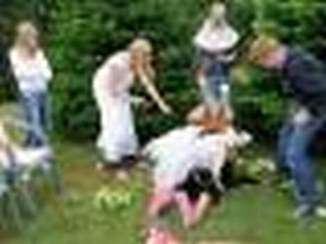 Amerikansk bulldog cleo - fra mit brullup med min dejlige man som er en kleine mønsterlænder billede 13