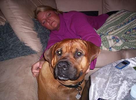 Blanding af racer Tyson - AHHHH det klør lige dér billede 5