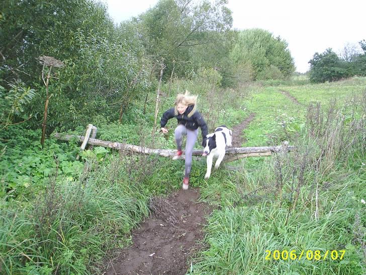 Blanding af racer basse:-* - springer rigtig højt:b billede 13