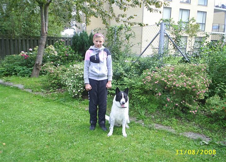 Blanding af racer basse:-* - se min stor søster er blevet mega stor!!:D billede 16