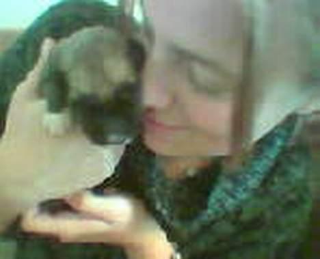 Irsk ulvehund Egholm´s McMillan Myler - Lige født billede 9