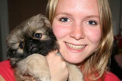 Pekingeser Kira - Her er Kira og jeg billede 13