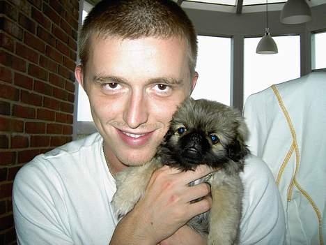 Pekingeser Kira - Her er Kira med far Dennis billede 15