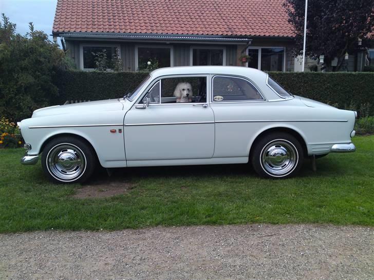 Storpuddel Nanna - Nanna i sin mor og far´s gamle volvo billede 4