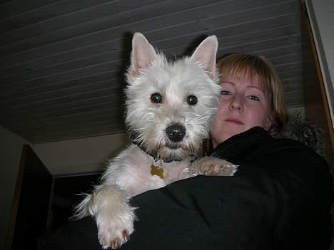 West highland white terrier Oscar - Mig og min mor billede 2