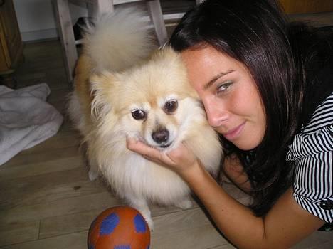 Pomeranian sandy billede 10