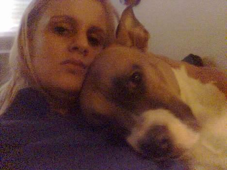 Amerikansk staffordshire terrier Tica billede 14