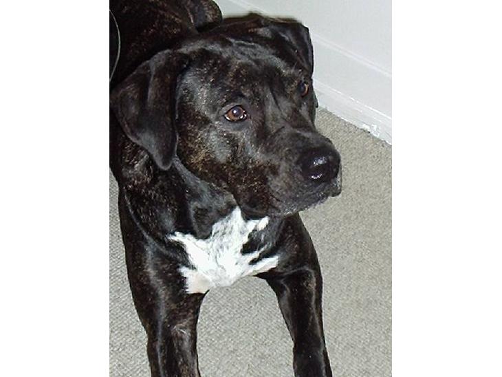 {{currentPhoto.altText}} billede {{currentPhoto.number}}