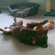 Blanding af racer Mille