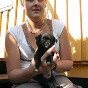 Blanding af racer Elmer