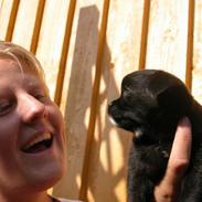 Blanding af racer Elmer