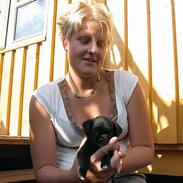 Blanding af racer Elmer