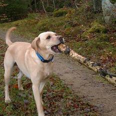 Blanding af racer puk