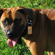 Blanding af racer ...