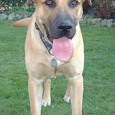 Blanding af racer Cato Bønnelykke 