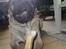 Mops Viggo - guuuuuuuuf, smaaaaaaaaaaaask, gnave