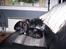 Chihuahua Freya .. - freya 5 mdr o en stor pige