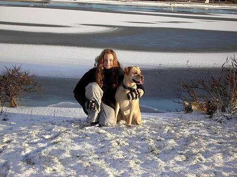 Blanding af racer puk - hehe igen på stranden.... :)   smuk ser hun ud.....! billede 9