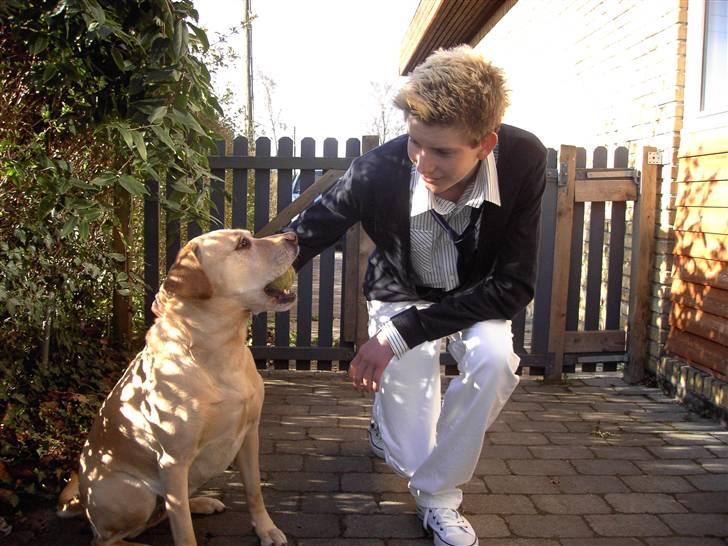 Blanding af racer puk - Min bror og puk til hans konfirmation..   "Selvom du er i konfirmations tøj kan vi da godt lege?" billede 10