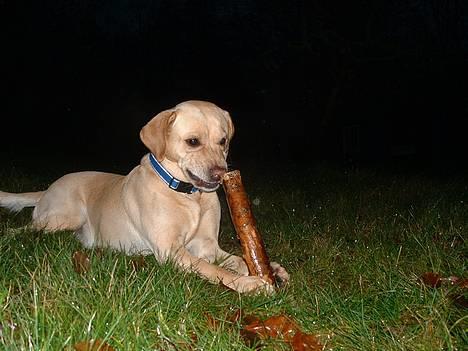 Blanding af racer puk - haha... det smagte vidst ikk såå godt alligevel... :P¨ billede 11