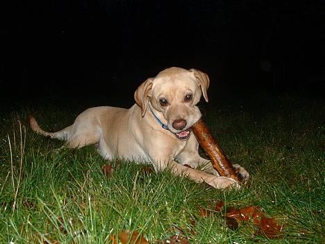 Blanding af racer puk - nam nam... elsker at spise pinde.. haha... billede 19