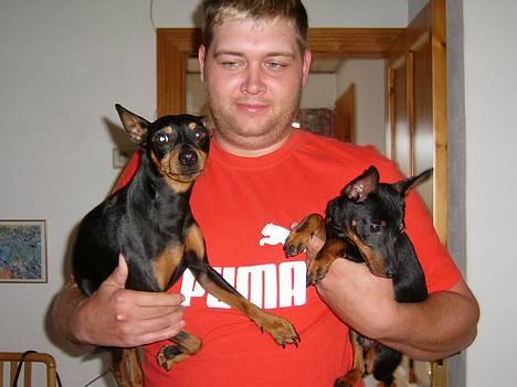 Dvaergpinscher Rødkilde's Chico - Det er mig til højer og min kammi ved siden af (min "onkel" holder os).... billede 12