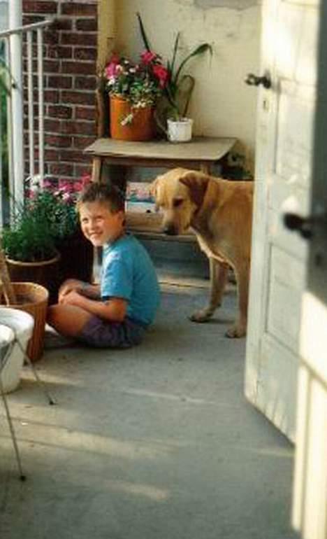Labrador retriever | Tajs R.I.P. - På terrassen billede 6