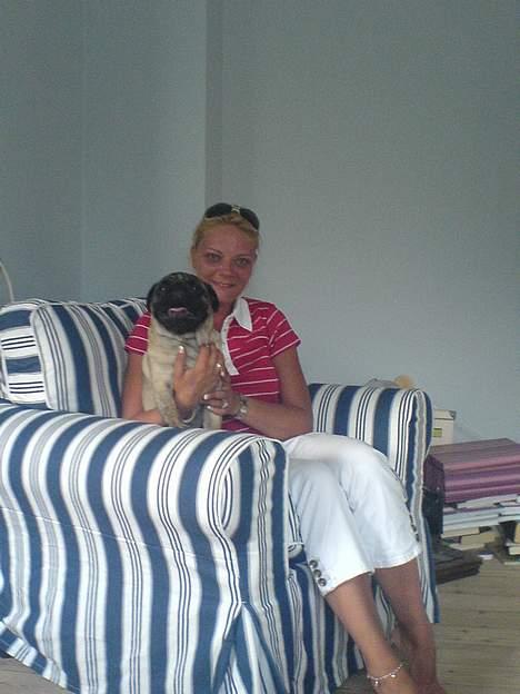 Mops Viggo - mor og viggo billede 6