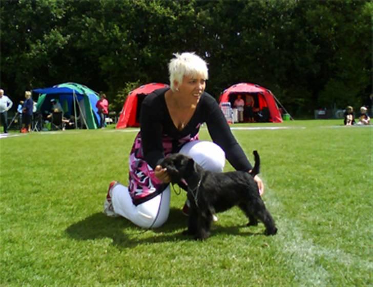 Dvaergschnauzer Sváva's Ayla - Thea - Thea og jeg på KBHVudstillingen08 i brøndby billede 15