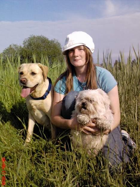 Lhasa apso Tulle - mig der holder lille dulle, med beskidte poter, og puk ved siden af..  billede 14