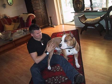 Amerikansk staffordshire terrier Sango - Her er vi alvorlige et øjeblik...!!! billede 2