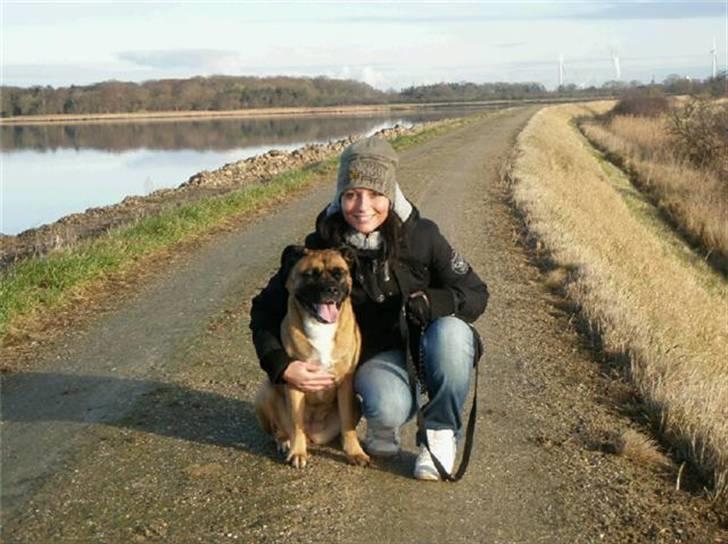 Blanding af racer Freja billede 15