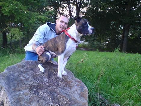 Blanding af racer Jack billede 16