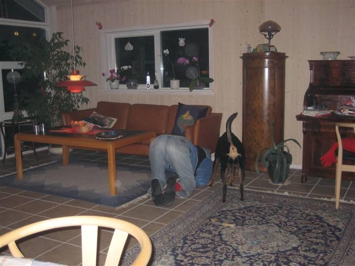 Blanding af racer Cherie - farfar og mig finder min boldt billede 3