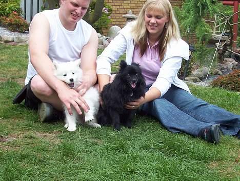 Samojedhund Lady. R.i.p 24.11.14 - Lady sammen med Trine billede 15