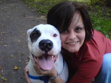 Amerikansk bulldog Basil  - Mammi og dejlige Benji ! billede 1