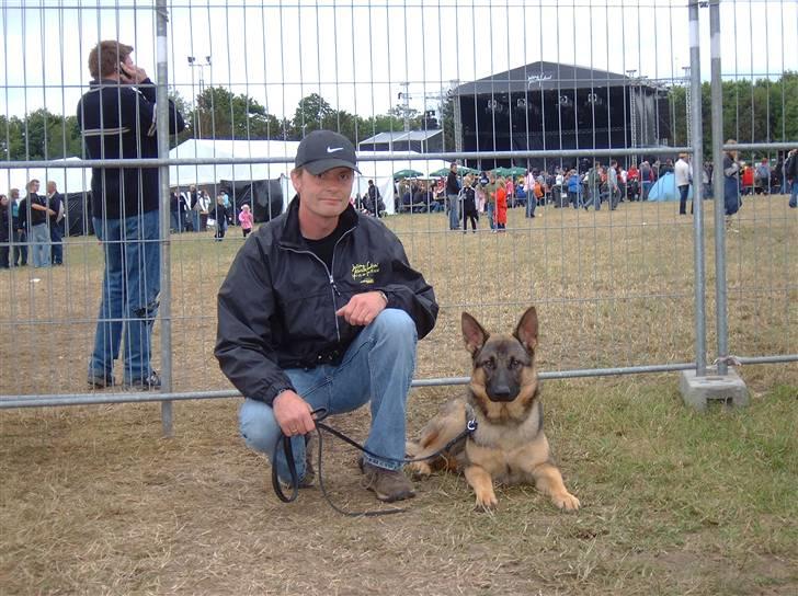 Schæferhund Cassius - MIg og Far til Jellingefestival billede 2