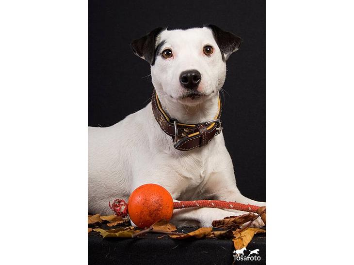 {{currentPhoto.altText}} billede {{currentPhoto.number}}