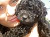 Mellempuddel Curly