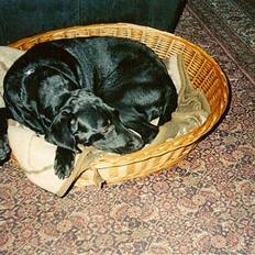 Blanding af racer Lady <3