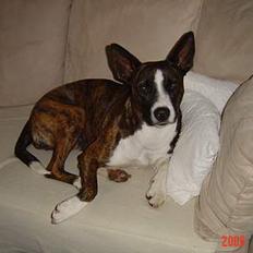 Blanding af racer thaiya *R.I.P*