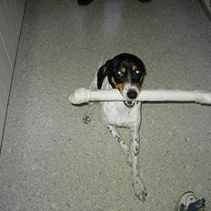 Blanding af racer boss