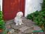 Blanding af racer perle {R.I.P min <3 :'(}